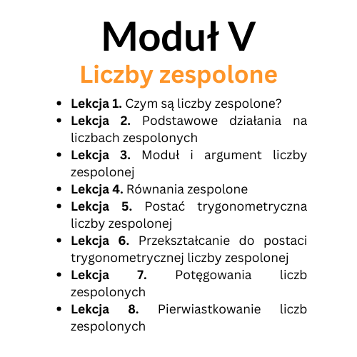 Kopia 17